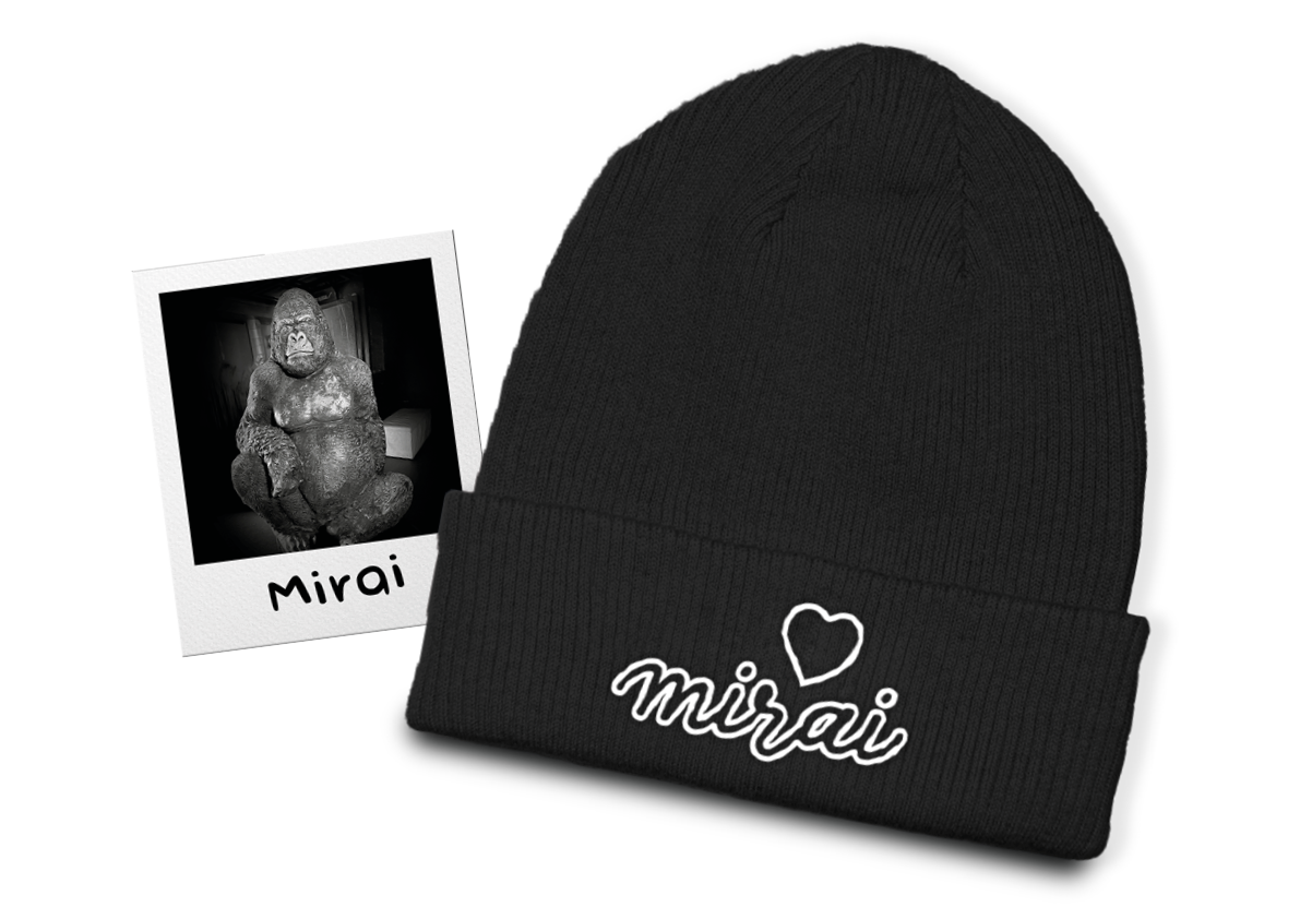 Abbildung: Polaroid-Foto von Mirai (die Gorilla-Statue im Eingangsbereich) und die Beanie-Mütze.